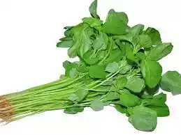 Data Shak (Data Spinach) ডাটা শাখ